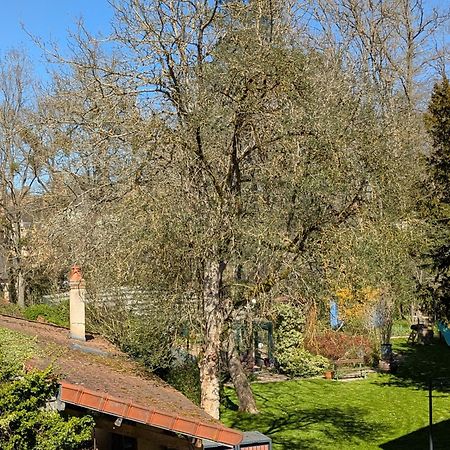 La Maison D'A Cote Saint-Amand-en-Puisaye Eksteriør bilde
