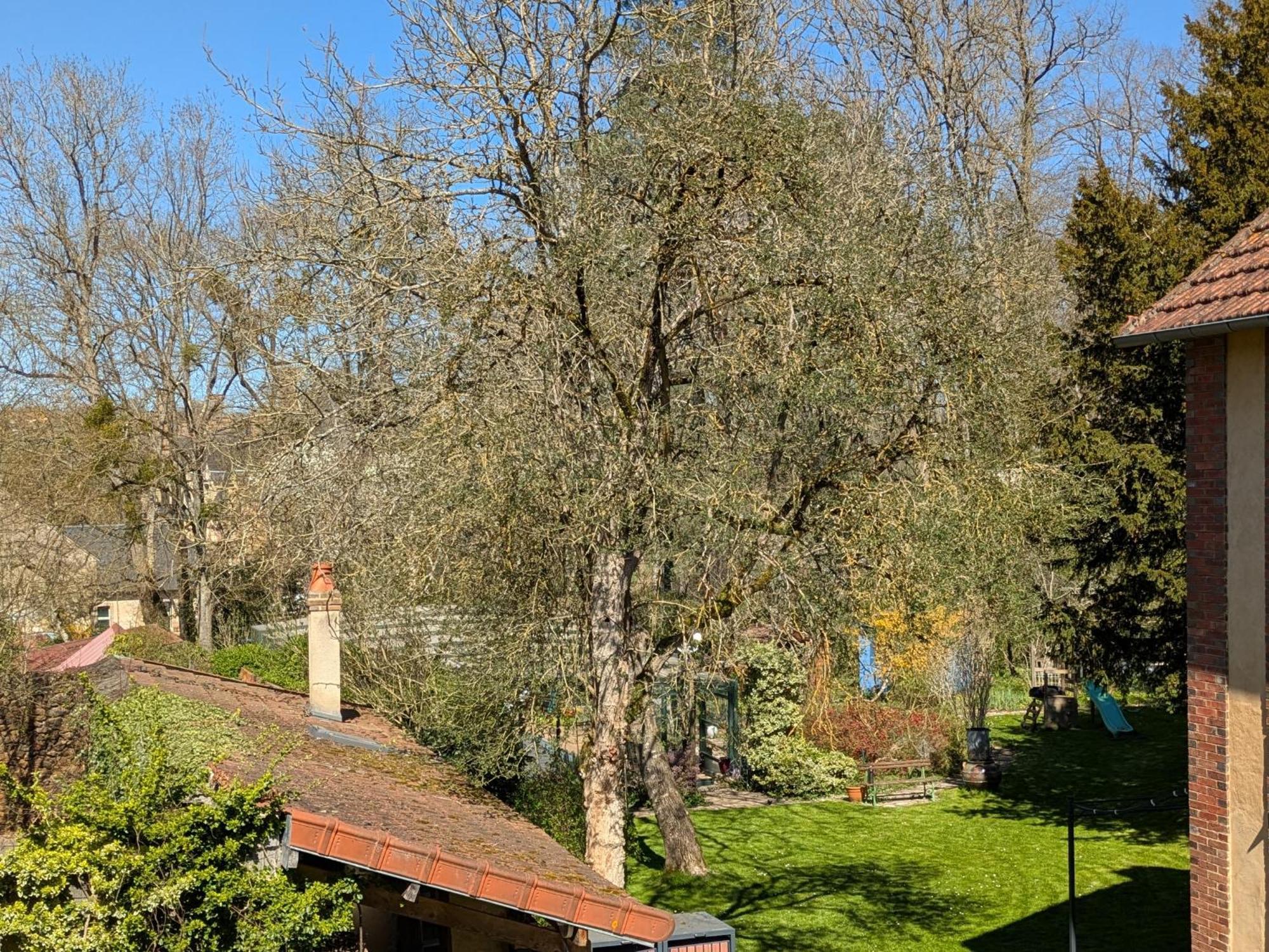La Maison D'A Cote Saint-Amand-en-Puisaye Eksteriør bilde